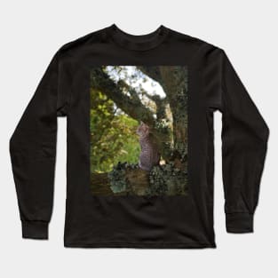 Cat Fairies: Resting Long Sleeve T-Shirt